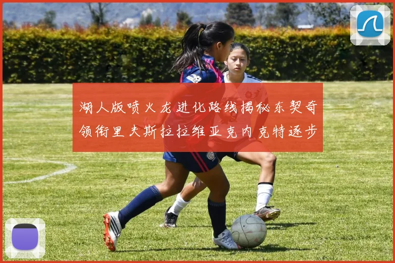 湖人版喷火龙进化路线揭秘东契奇领衔里夫斯拉拉维亚克内克特逐步崛起