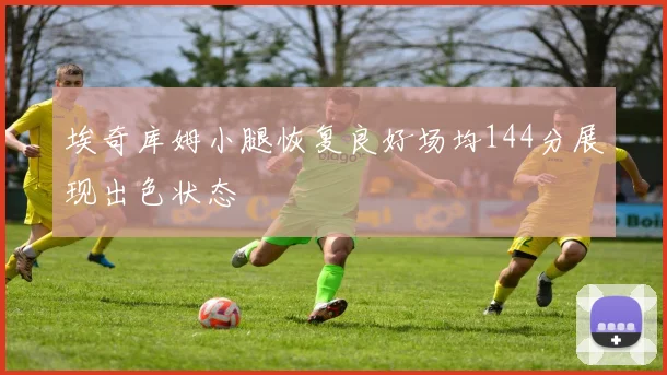 埃奇库姆小腿恢复良好场均144分展现出色状态